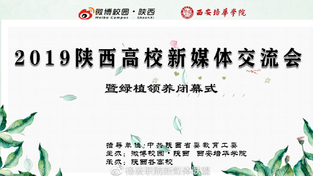 144Hz不是极限 外洋网友解锁 ROGPhone3隐藏更高刷新率-beat365(图2) beat365官网中文