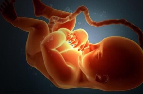 原paiN.X成员集体出走 CCNC携三队友离队：BEAT365(图2)