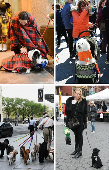 beat365官网中文|是游戏也是快乐，更是筑梦未来的力量(图3)